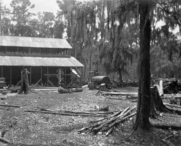 R.T. King's sawmill