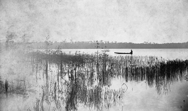 Wolf Pond - Jackson County, Florida