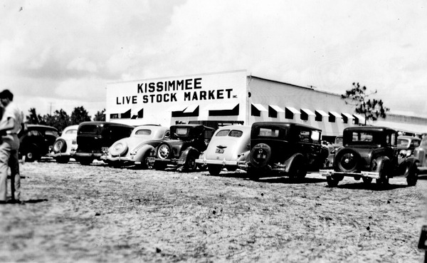 Livestock market - Kissimmee, Florida