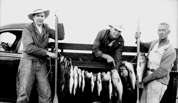 Florida Memory • Men displaying a stringer full of fish - Kissimmee ...