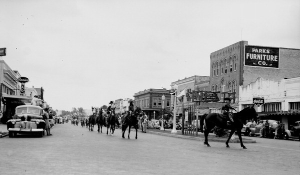 Horses marching in parade - Kissimmee, Florida