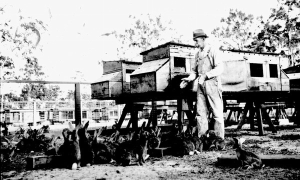 Henry M. Peake, A.C.L. Railroad engineer feeding his rabbits - Kissimmee, Florida