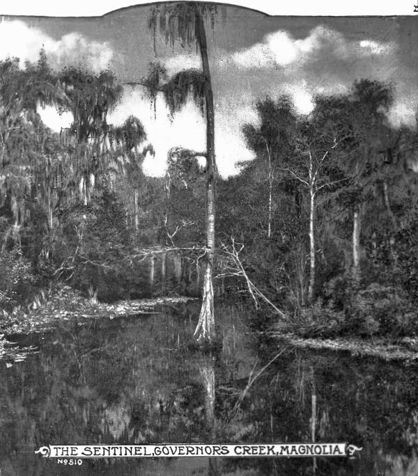 The Sentinel on Governor's Creek - Magnolia Point, Florida