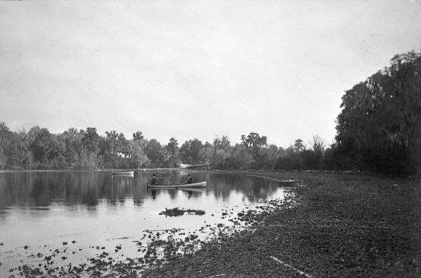 View at Magnolia Springs - Magnolia Springs, Florida