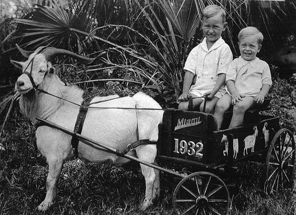 Walter Wolfe & John Wolfe in goat cart