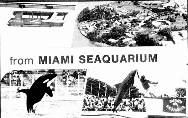 Greetings from Miami Seaquarium