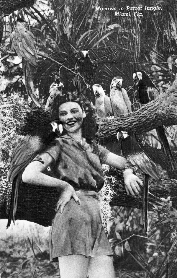 Young woman posing with macaws at Parrot Jungle - Miami, Florida