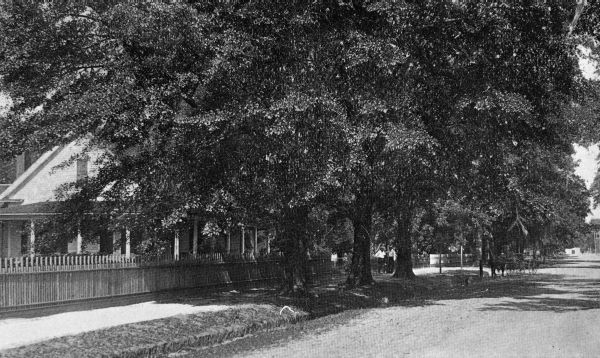 View along Washington Street - Monticello