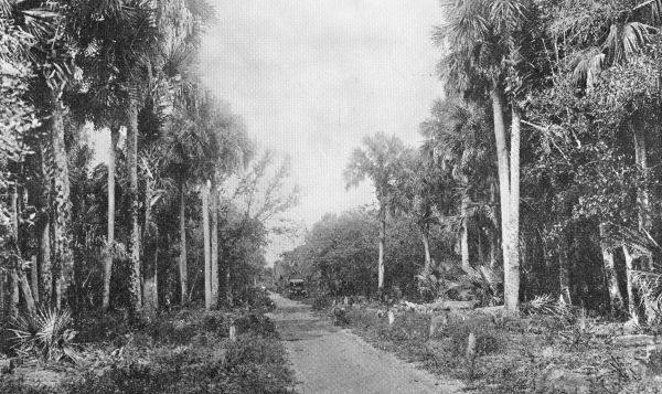Lake Drive - Okeechobee, Florida.