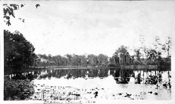 Ocean Pond - Olustee, Florida