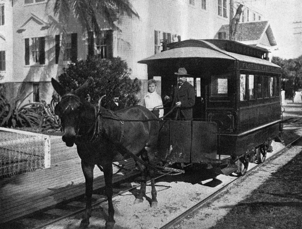Mule drawn car - Palm Beach, Florida