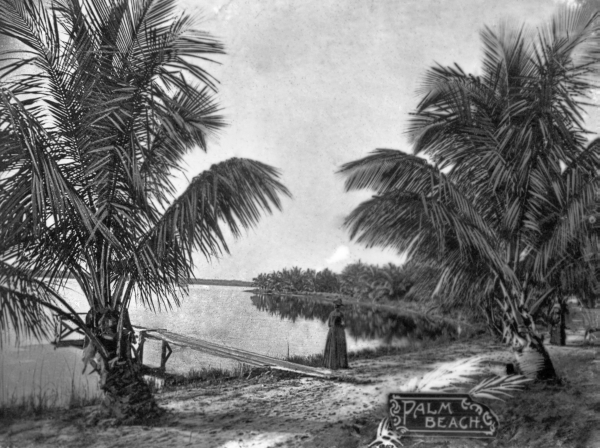 View of lake and dock - Palm Beach, Florida.