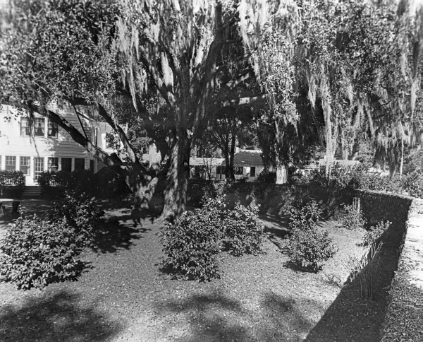 Luna Plantation camellia garden