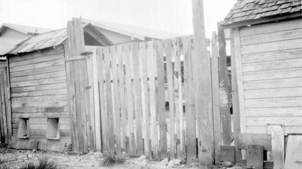 Levy type privies - Tampa, Florida