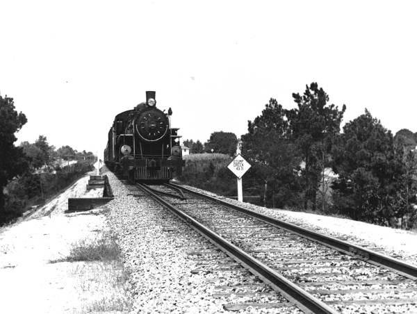 Atlanta and St. Andrews Bay Railroad engine number 146