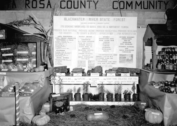 Santa Rosa County Fair exhibit