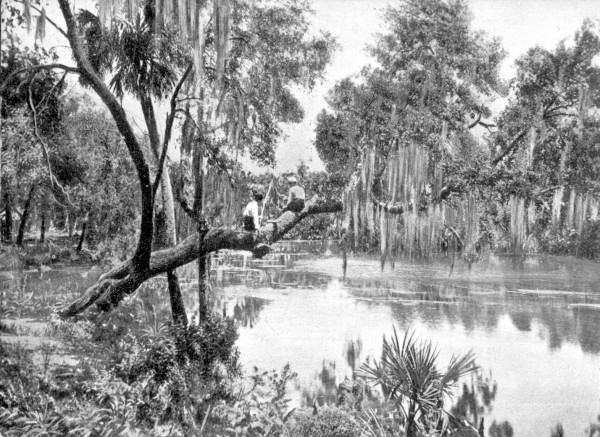 View of Hillsborough River - Tampa, Florida.