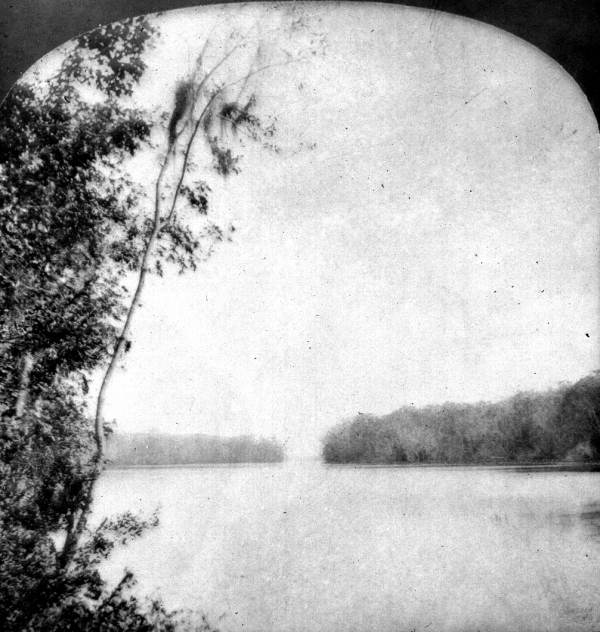 View of the Oklawaha River