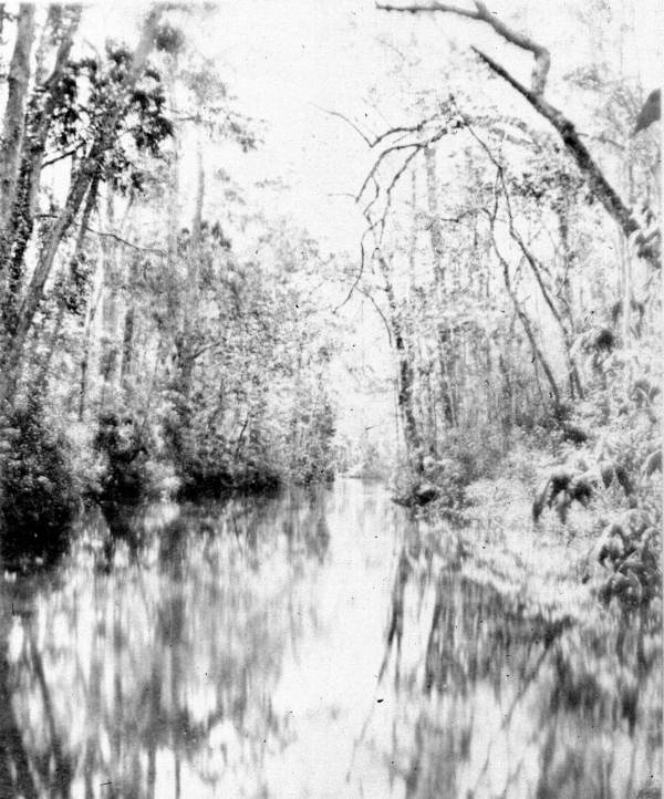 The Narrows