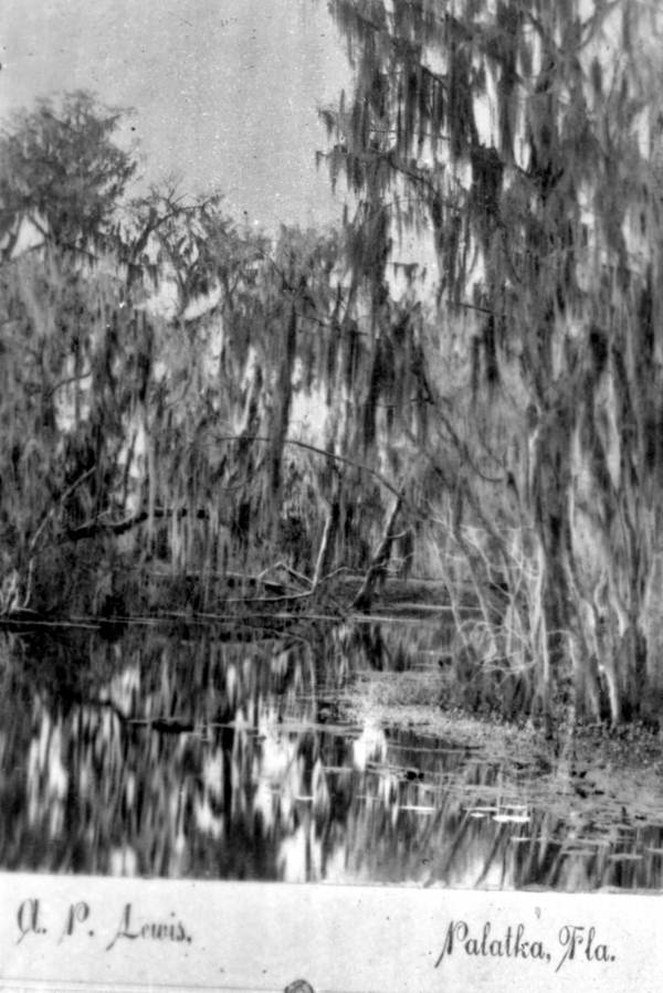 Headwater of the Ocklawaha