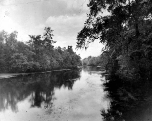 View of the Wakulla River - Wakulla County, Florida