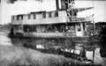 Corona in the canal between Caloosahatchee and Okeechobee