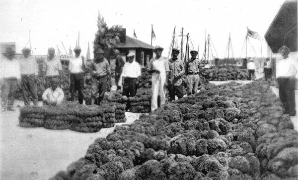 Sponges at the Sponge Exchange - Tarpon Springs, Florida
