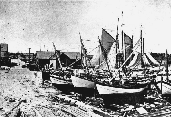 Greek sponge fleet at Tarpon Springs
