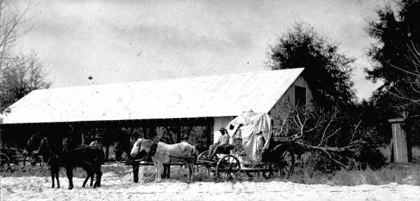 Wagon shed, wagon transporting tree - De Leon Springs, Florida