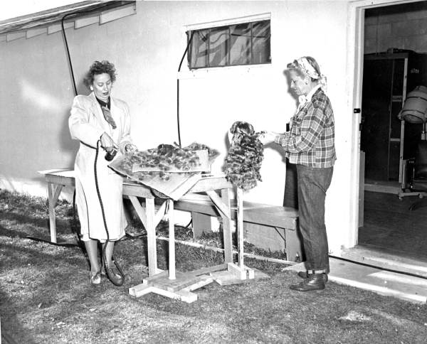 Makeup staff working on Ann Blyth's wig between scenes - Weeki Wachee Spring, Florida