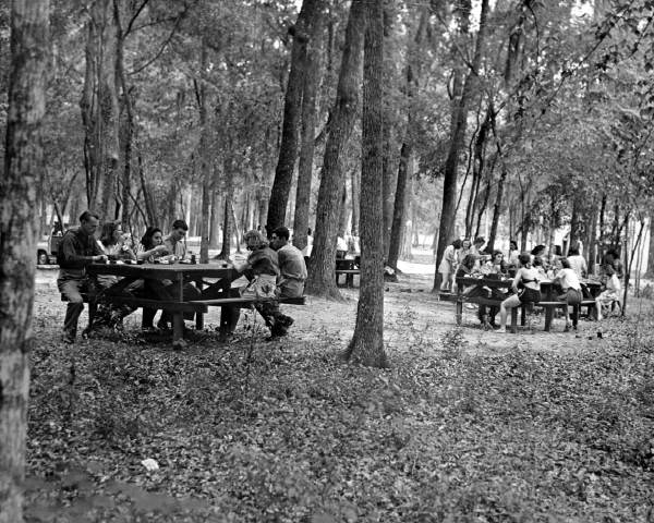 Picnic area southwest of the lodge - Wakulla Springs, Florida