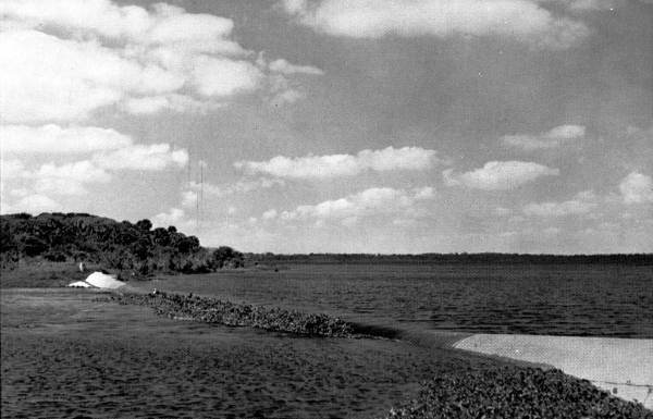 Low dam controls the water level - Myakka River State Park, Sarasota County, Fla.