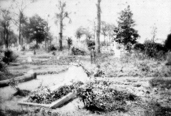Lewis family plot? - Tallahassee, Florida
