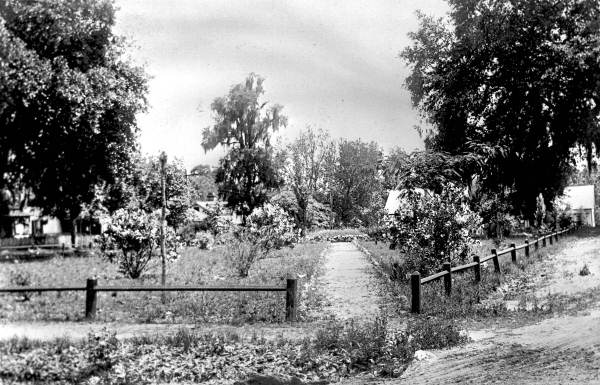 Promenade in a park - Tallahassee, Florida.