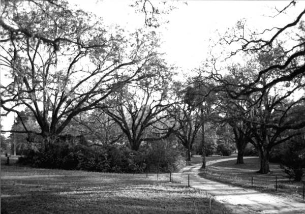 Grounds showing exit to west of main house - Tallahassee, Florida