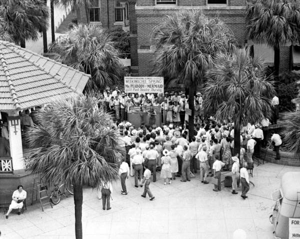'Mermaids' in tank next to the courthouse - Tampa, Florida.