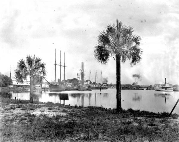 Boats moored on the Hillsborough River - Tampa, Florida.