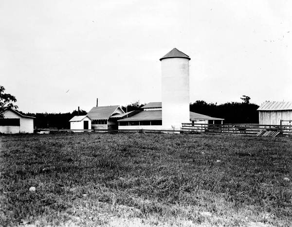 Dairy farm - Volusia County, Florida