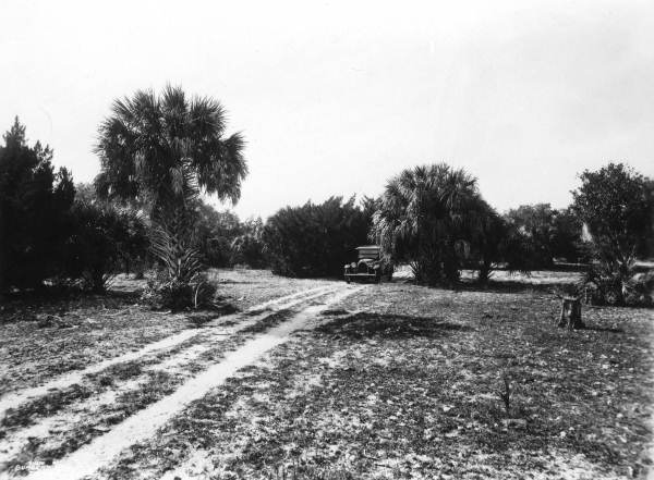 Island road with automobile on Weedon Island