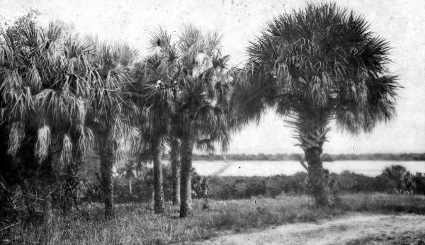 View from the Island