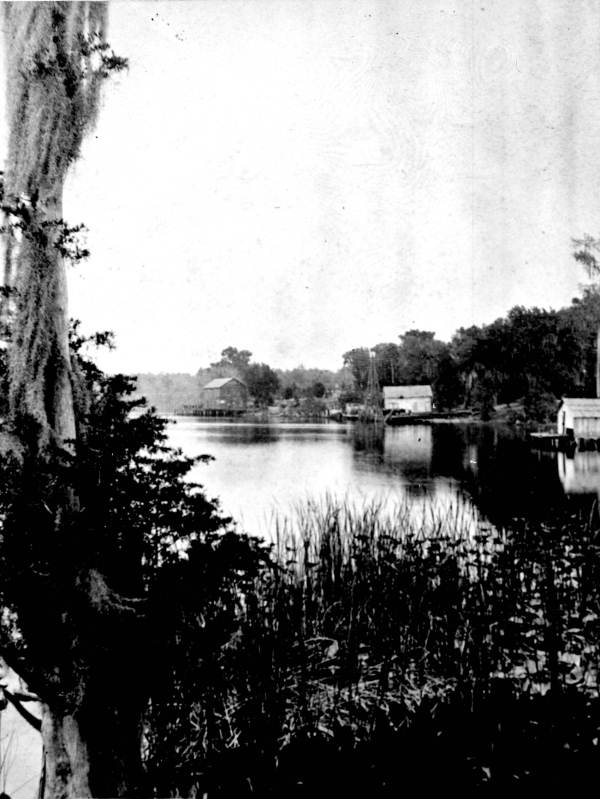 View from the water.