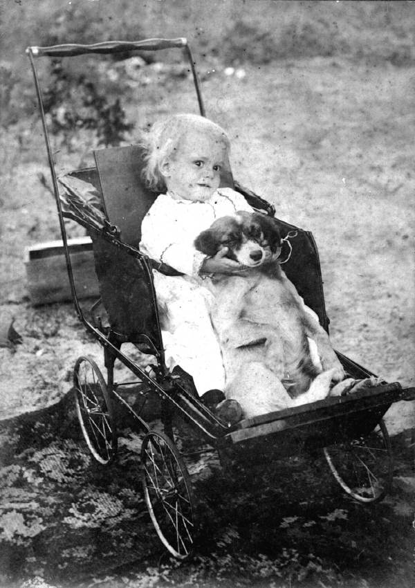 Bond Hamilton in wagon with puppy - Woodville, Florida