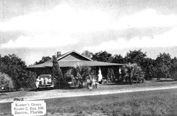 Kester's Grove, Route 2, Box 106 - Bartow, Florida