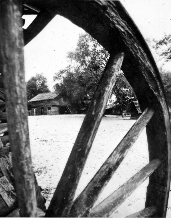 View across the farm yard - Tallahassee, Florida.