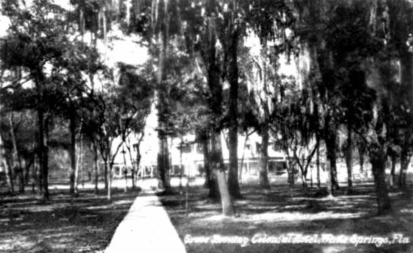 Groves showing Colonial Hotel - White Springs, Florida