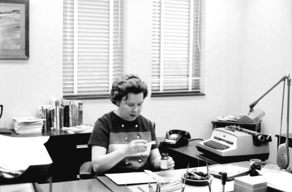 Woman in office at desk