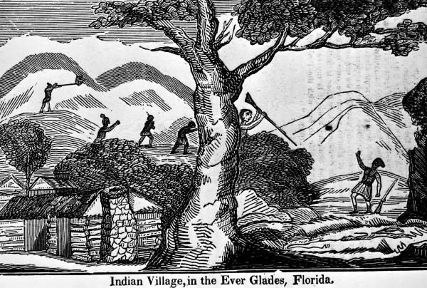 Indian village in the everglades