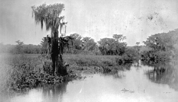 View of Panasoffkee Lake - Sumter County, Florida