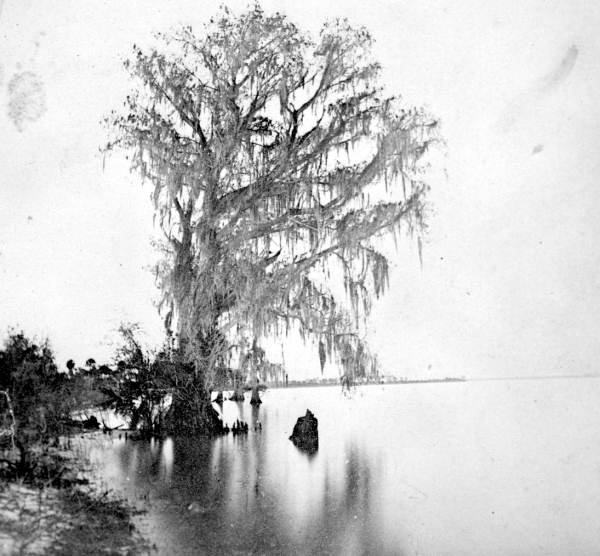 Stereoview of Lake Monroe - Enterprise, Florida