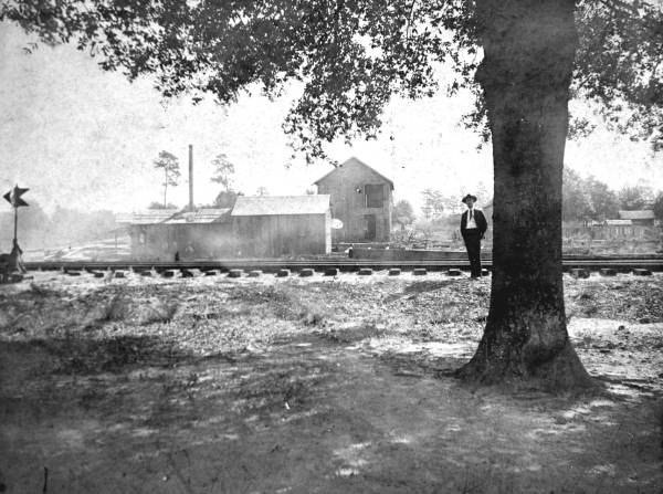 Mr. Fleece by tracks with Sawmill in background - Wildwood, Florida.